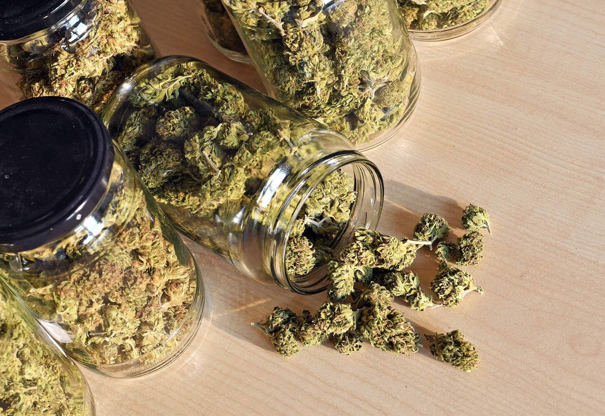 dry-and-trimmed-cannabis-buds-stored-in-a-glas-jar-PP4THVA-1-e1634563958624